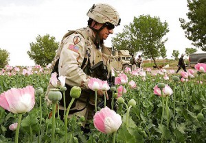 Opium soldat american